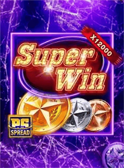 BPL cricket betting cover